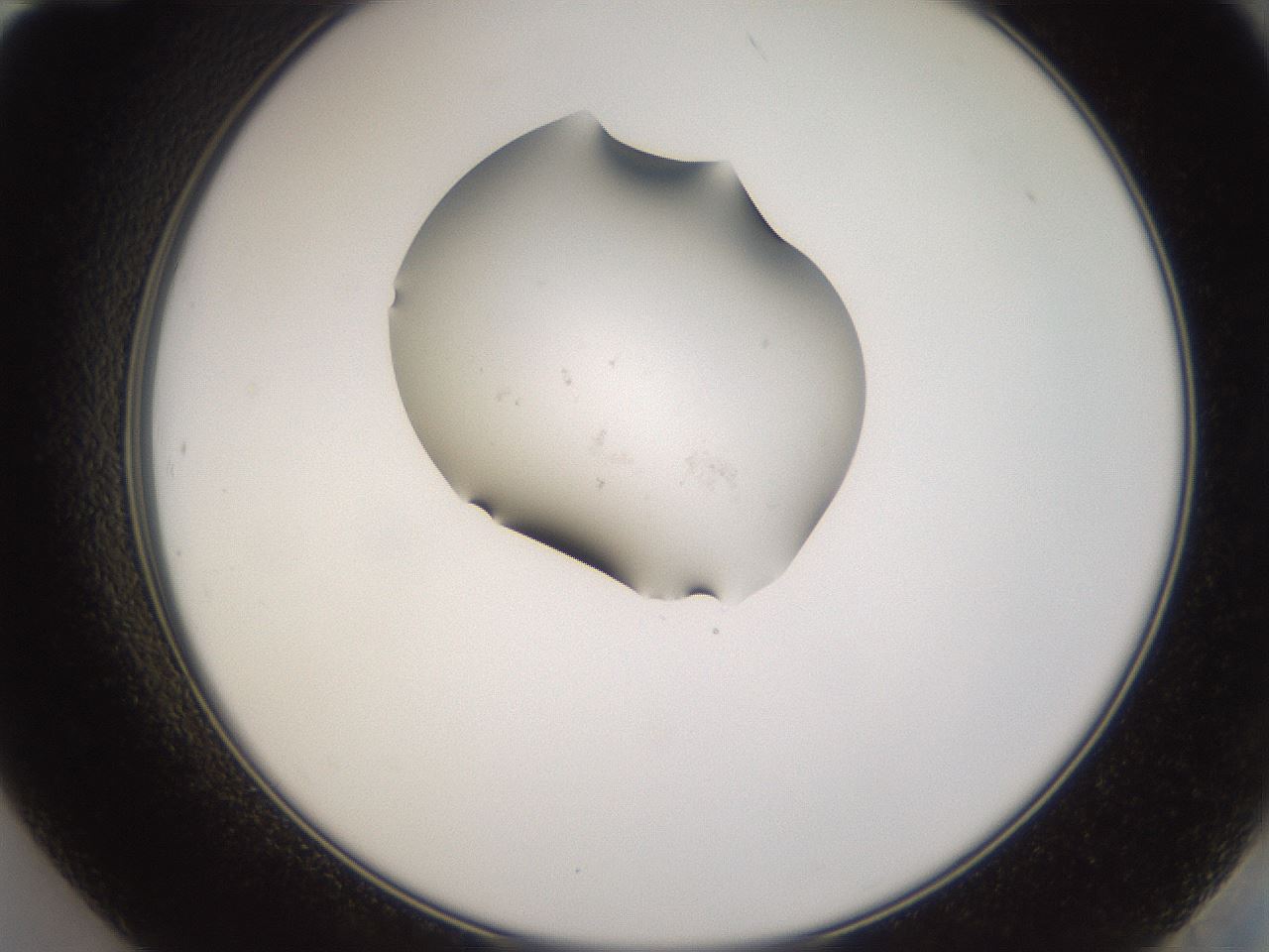 folderID249_plateID3249_batchID18202_wellNum84_profileID1_d2_r285930_ef.jpg