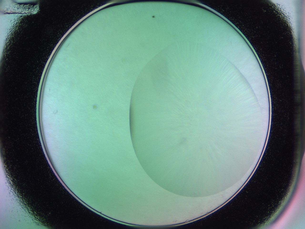 01dc_A12_ImagerDefaults_1.jpg