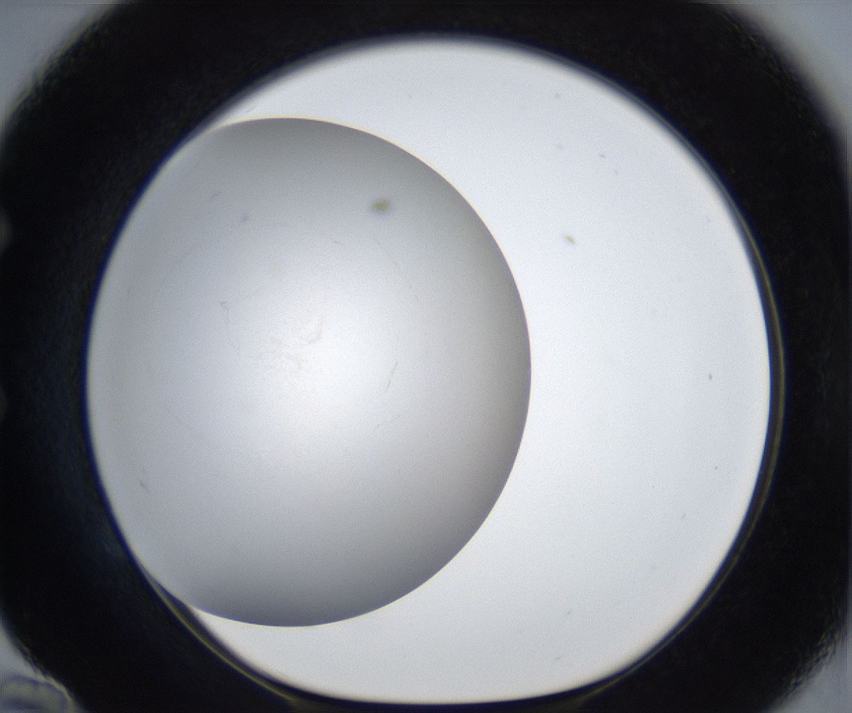 folderID987_plateID2987_batchID16308_wellNum58_profileID1_d1_r247407_ef.jpg