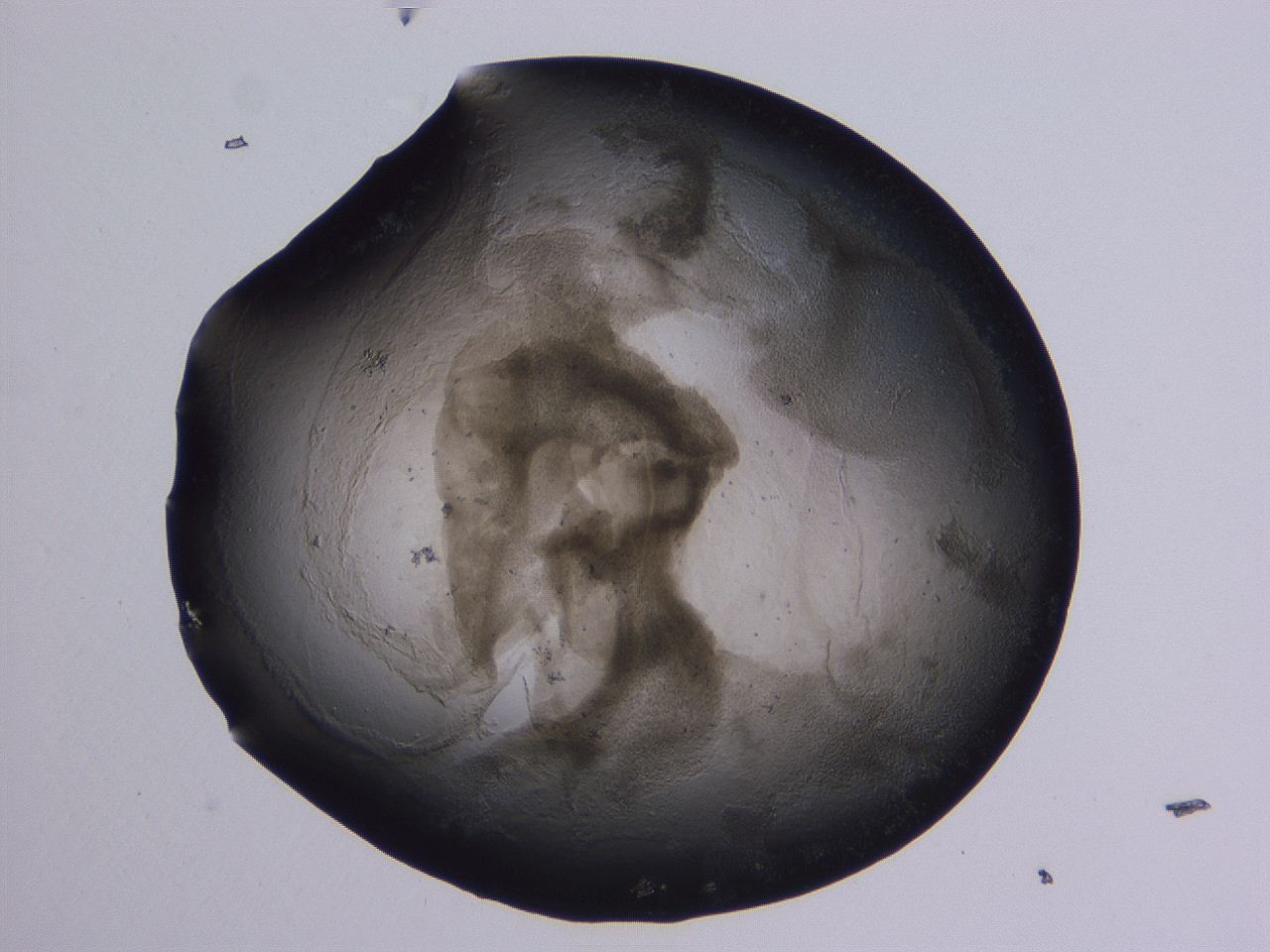 04ox_A12_ImagerDefaults_3.jpg