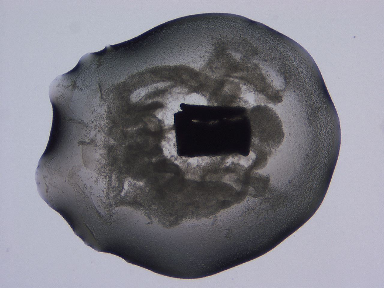 04ox_B11_ImagerDefaults_3.jpg
