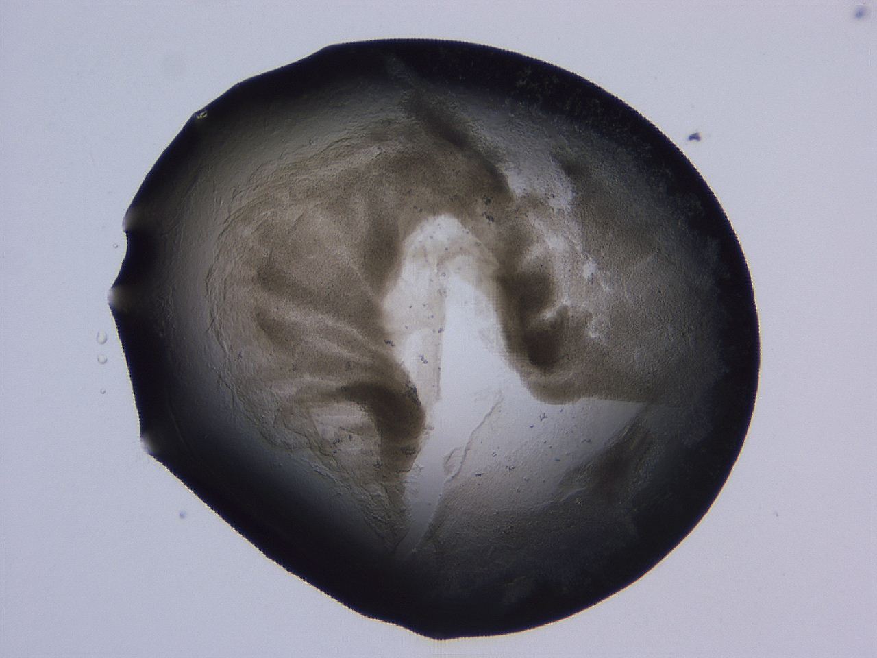 04ox_B12_ImagerDefaults_3.jpg