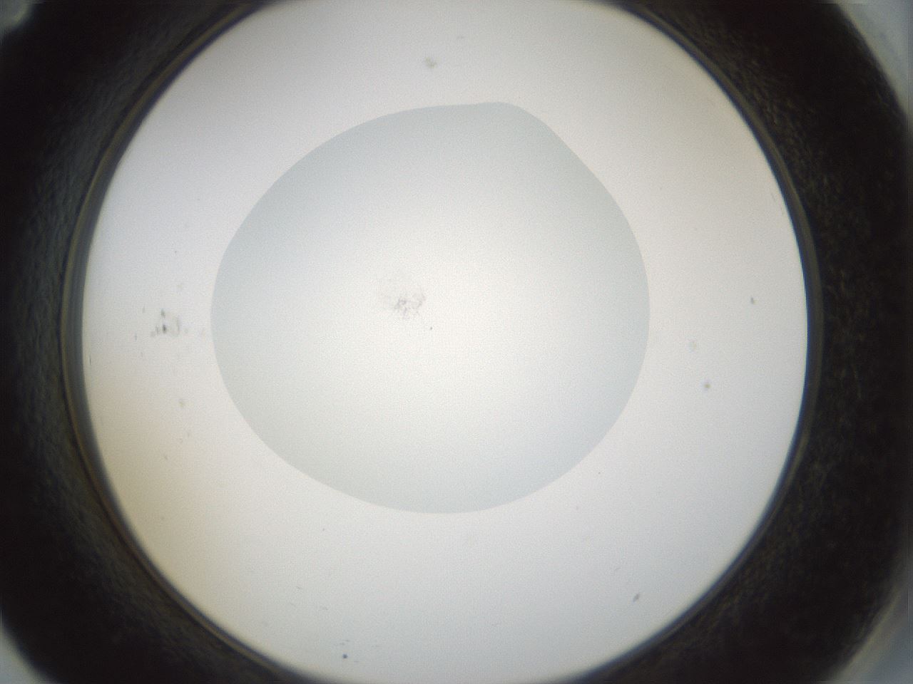 folderID987_plateID987_batchID1639_wellNum71_profileID1_d2_r40455_ef.jpg