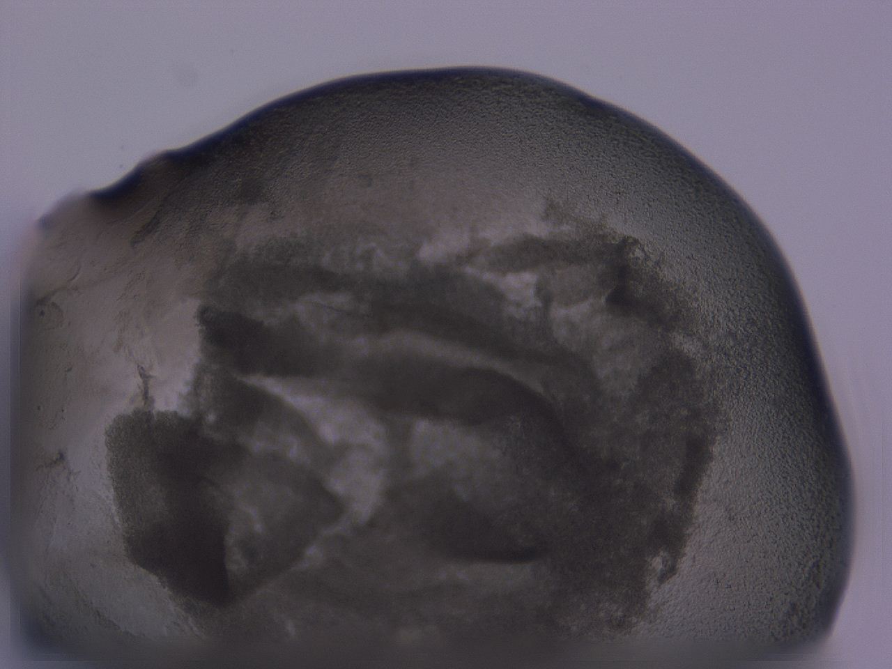 04ox_C2_ImagerDefaults_3.jpg