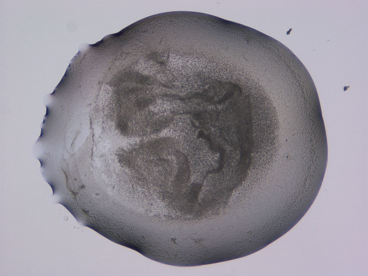 04ox_C3_ImagerDefaults_3.jpg