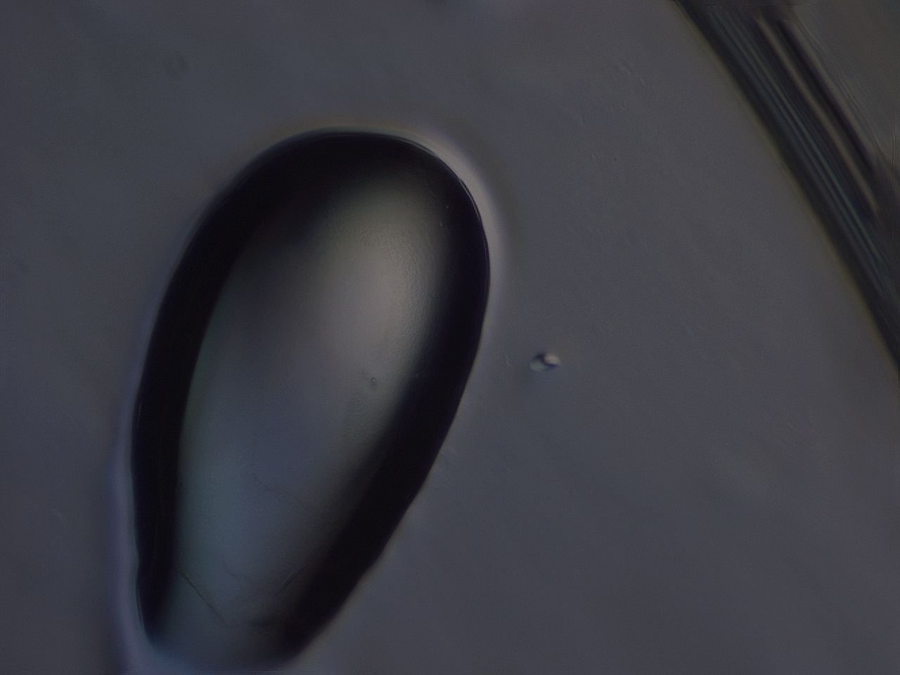 04ox_C6_ImagerDefaults_3.jpg