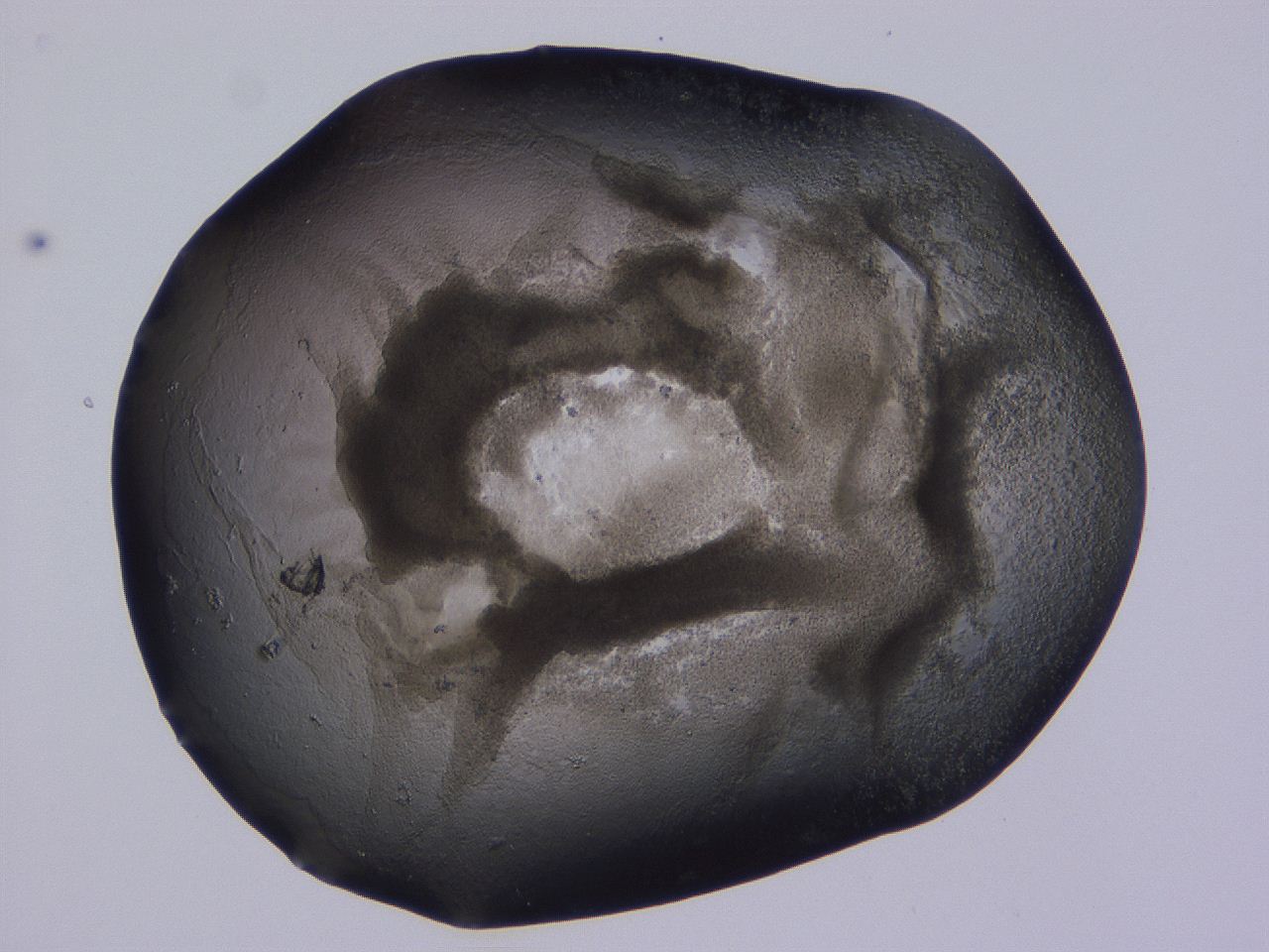 04ox_C8_ImagerDefaults_3.jpg