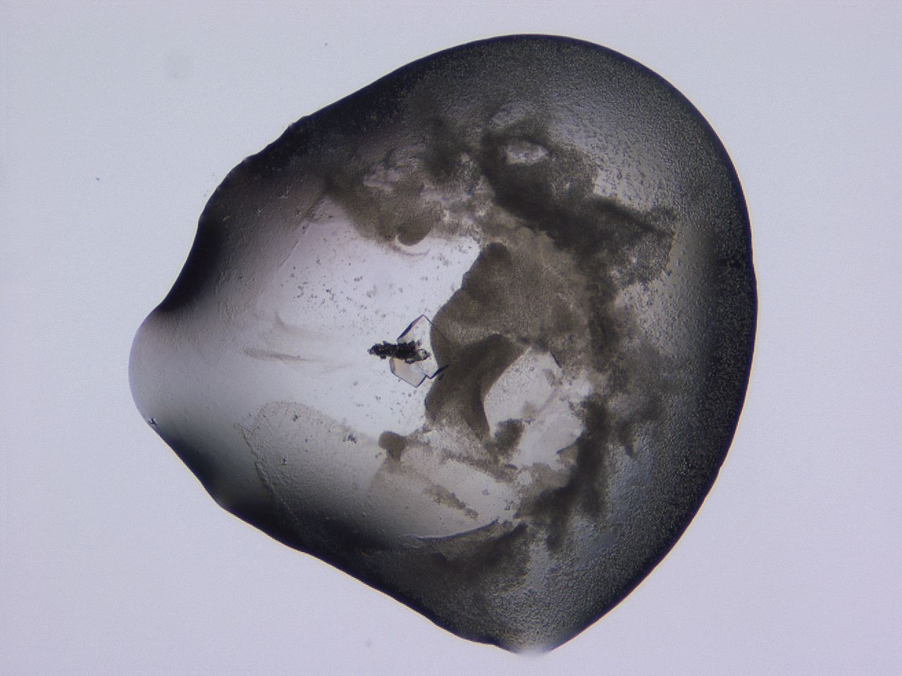 04ox_C9_ImagerDefaults_9.jpg
