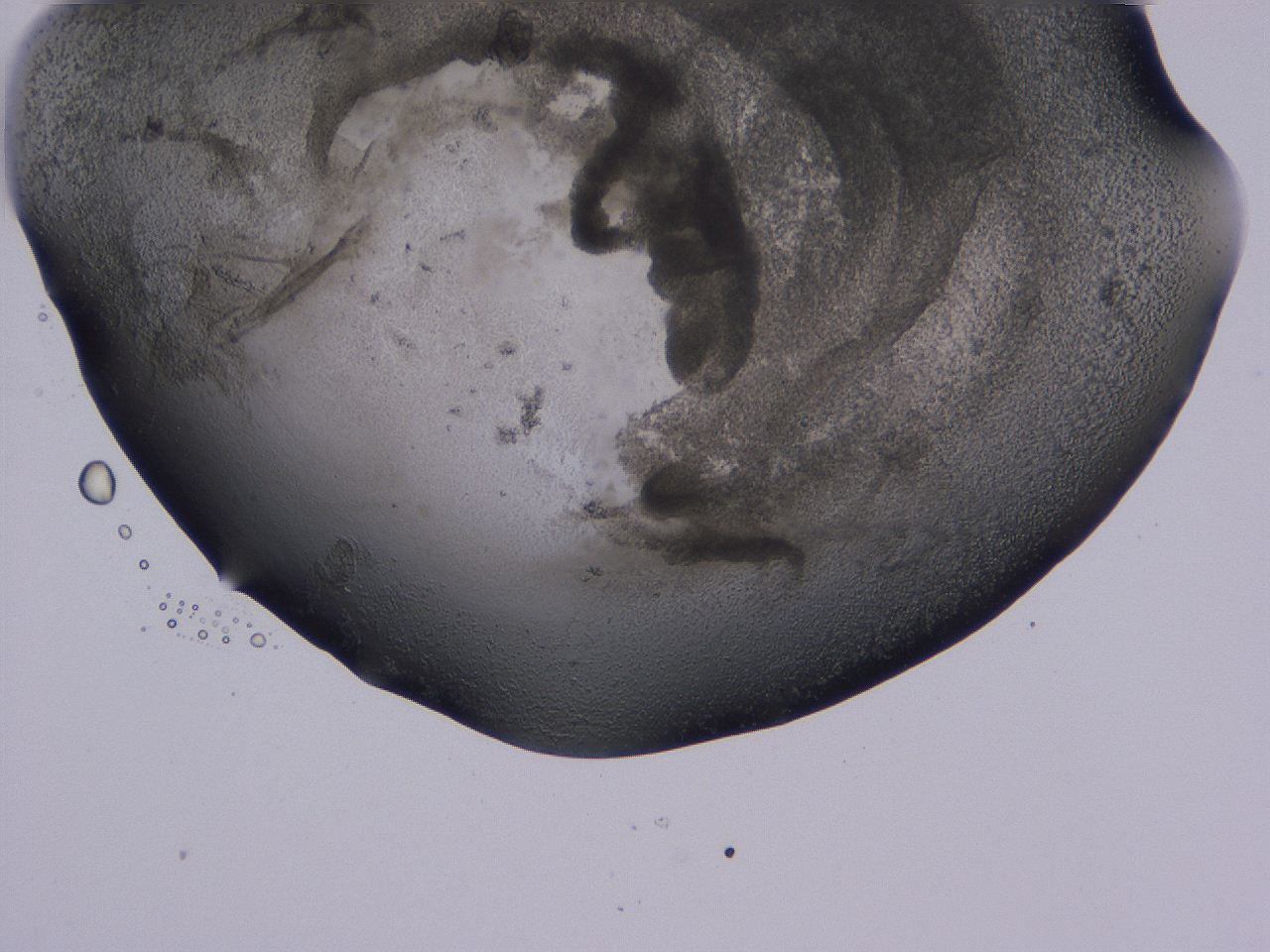 04ox_C10_ImagerDefaults_3.jpg