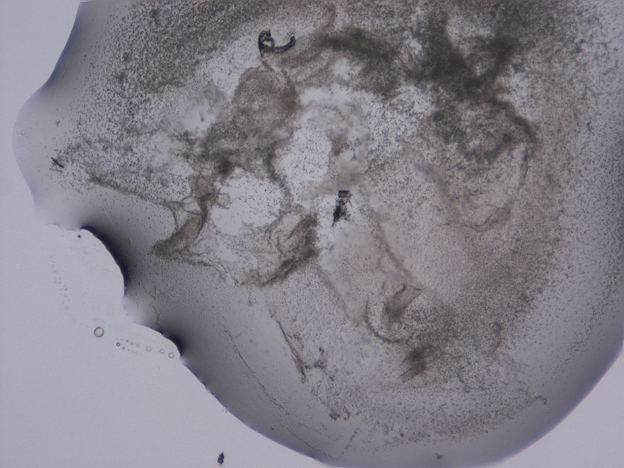 04ox_C11_ImagerDefaults_3.jpg