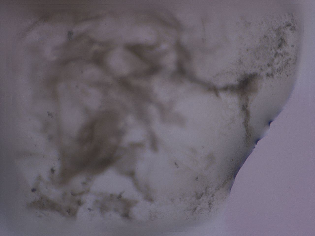 04ox_E6_ImagerDefaults_3.jpg