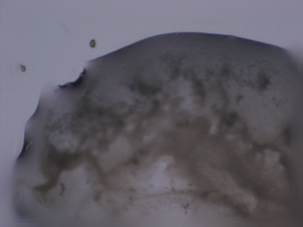 04ox_E10_ImagerDefaults_3.jpg