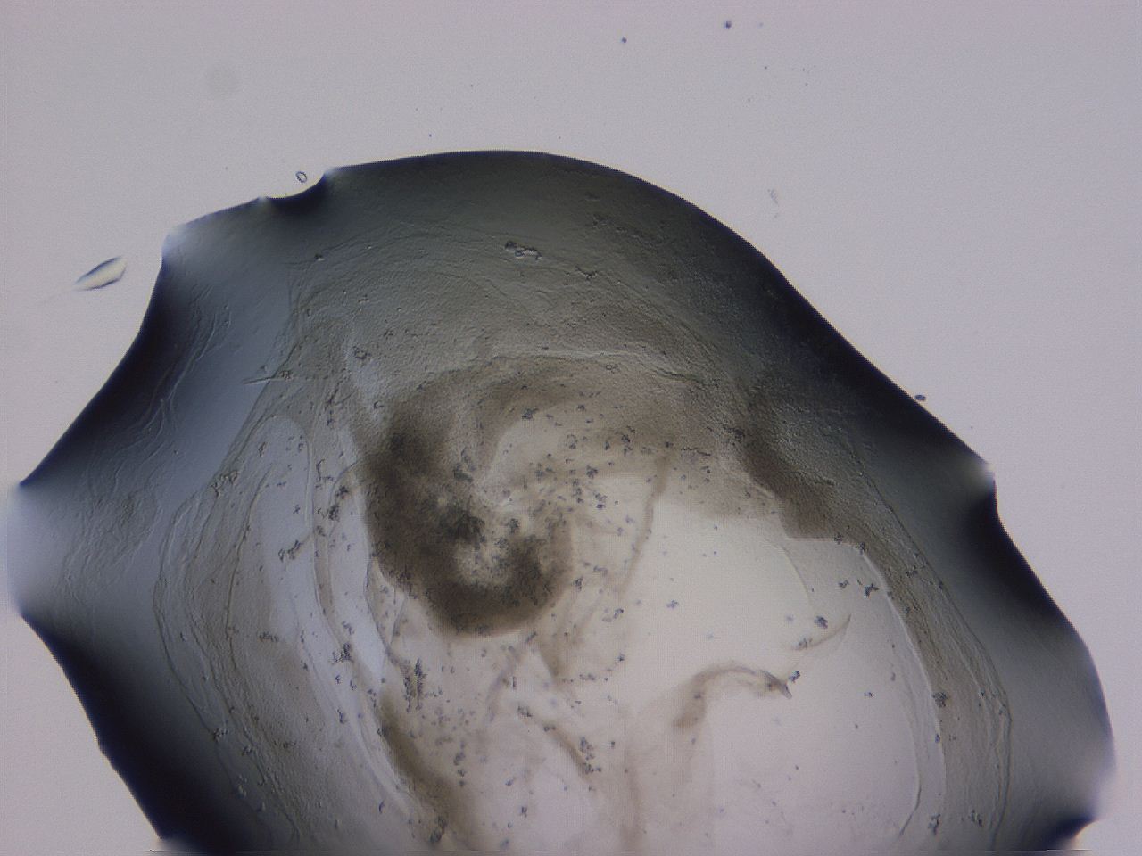 04ox_E12_ImagerDefaults_3.jpg