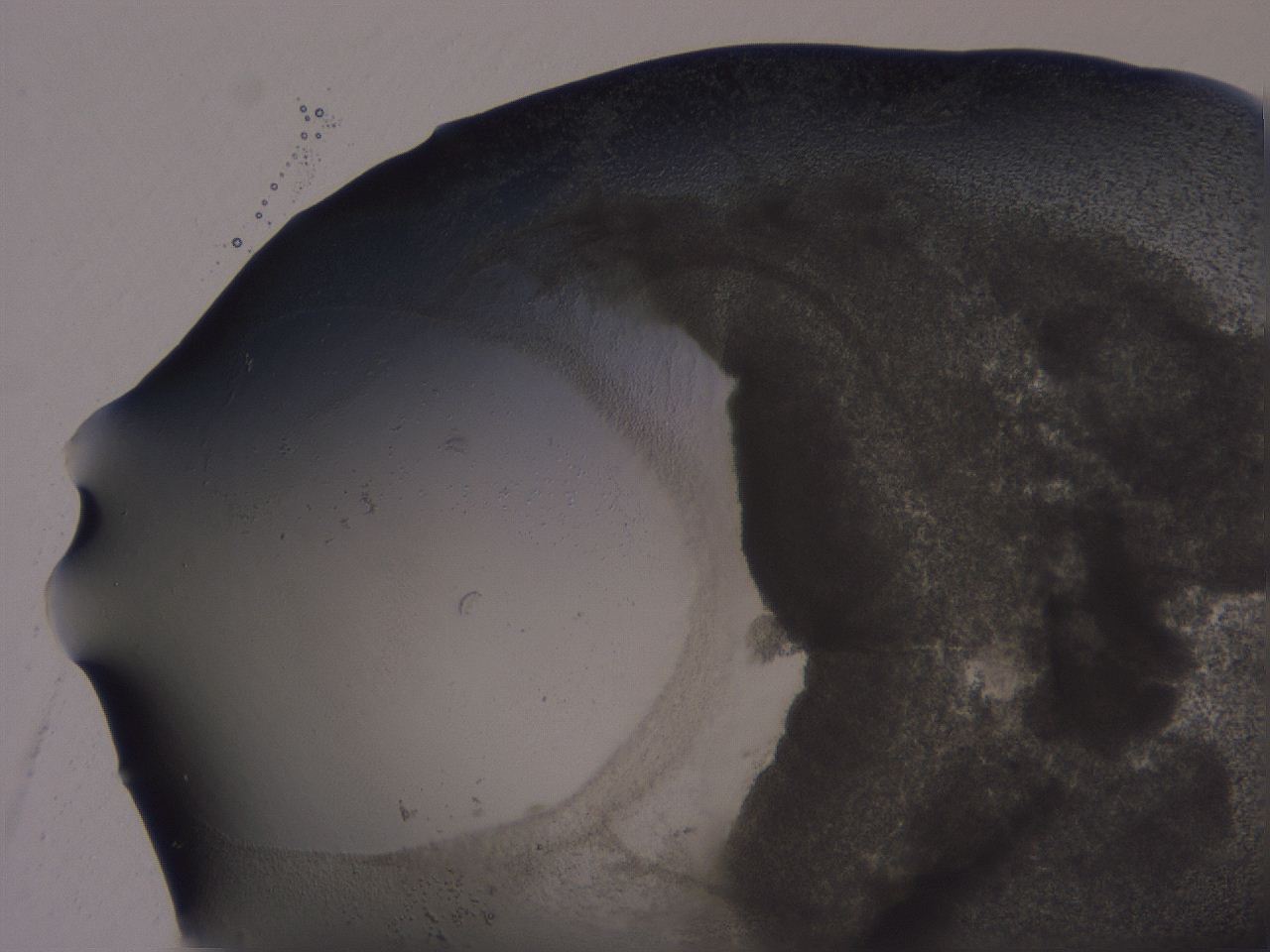 04ox_A2_ImagerDefaults_3.jpg