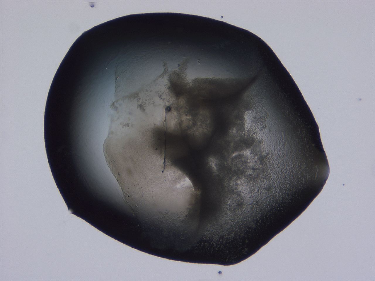 04ox_D1_ImagerDefaults_3.jpg