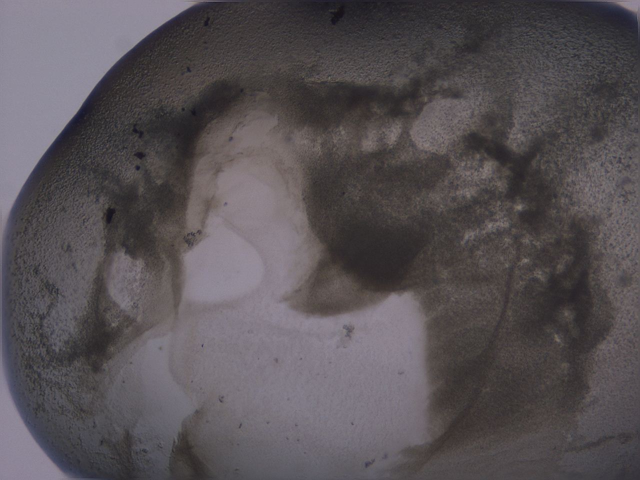 04ox_D6_ImagerDefaults_3.jpg