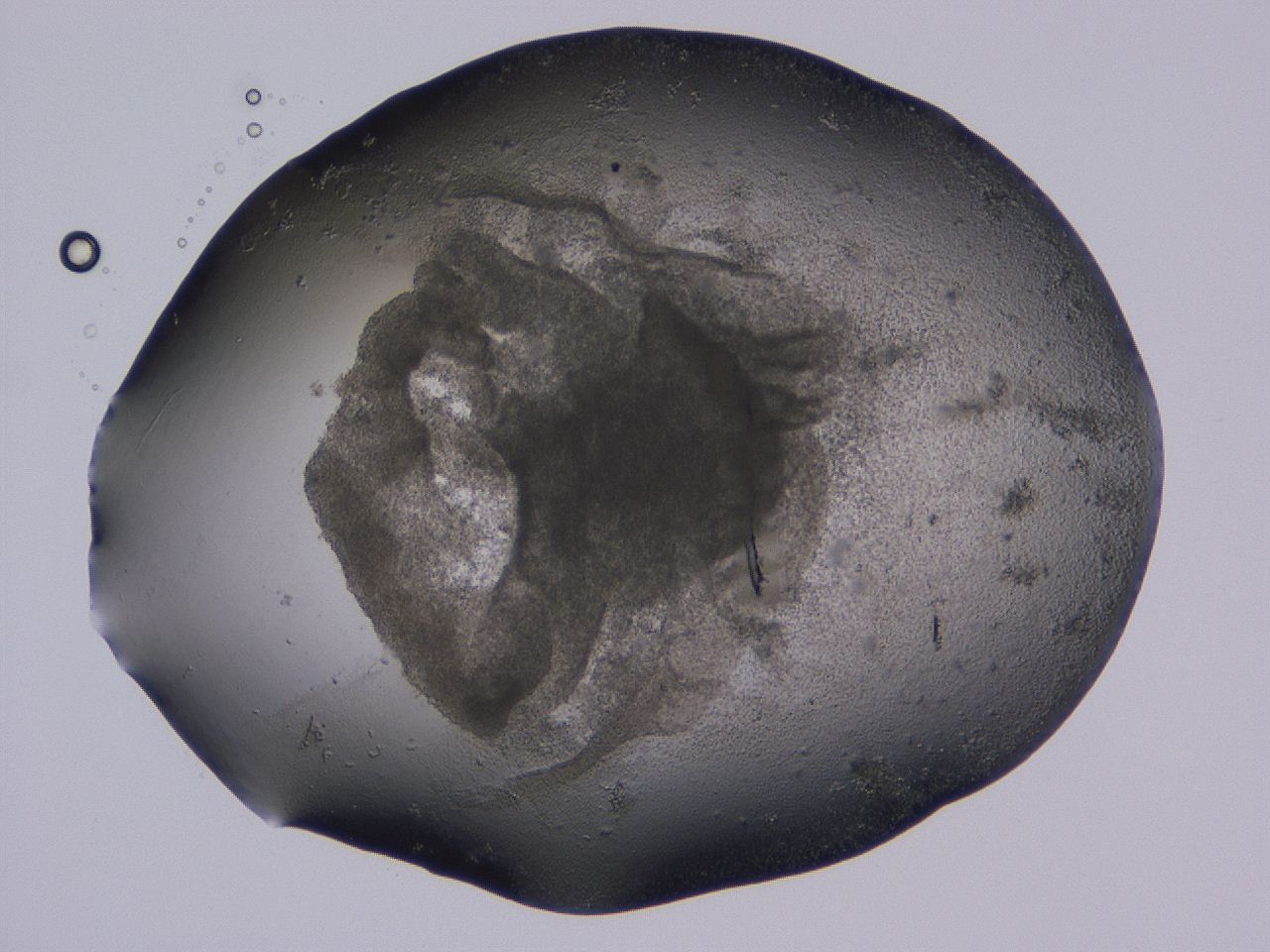 04ox_D7_ImagerDefaults_3.jpg