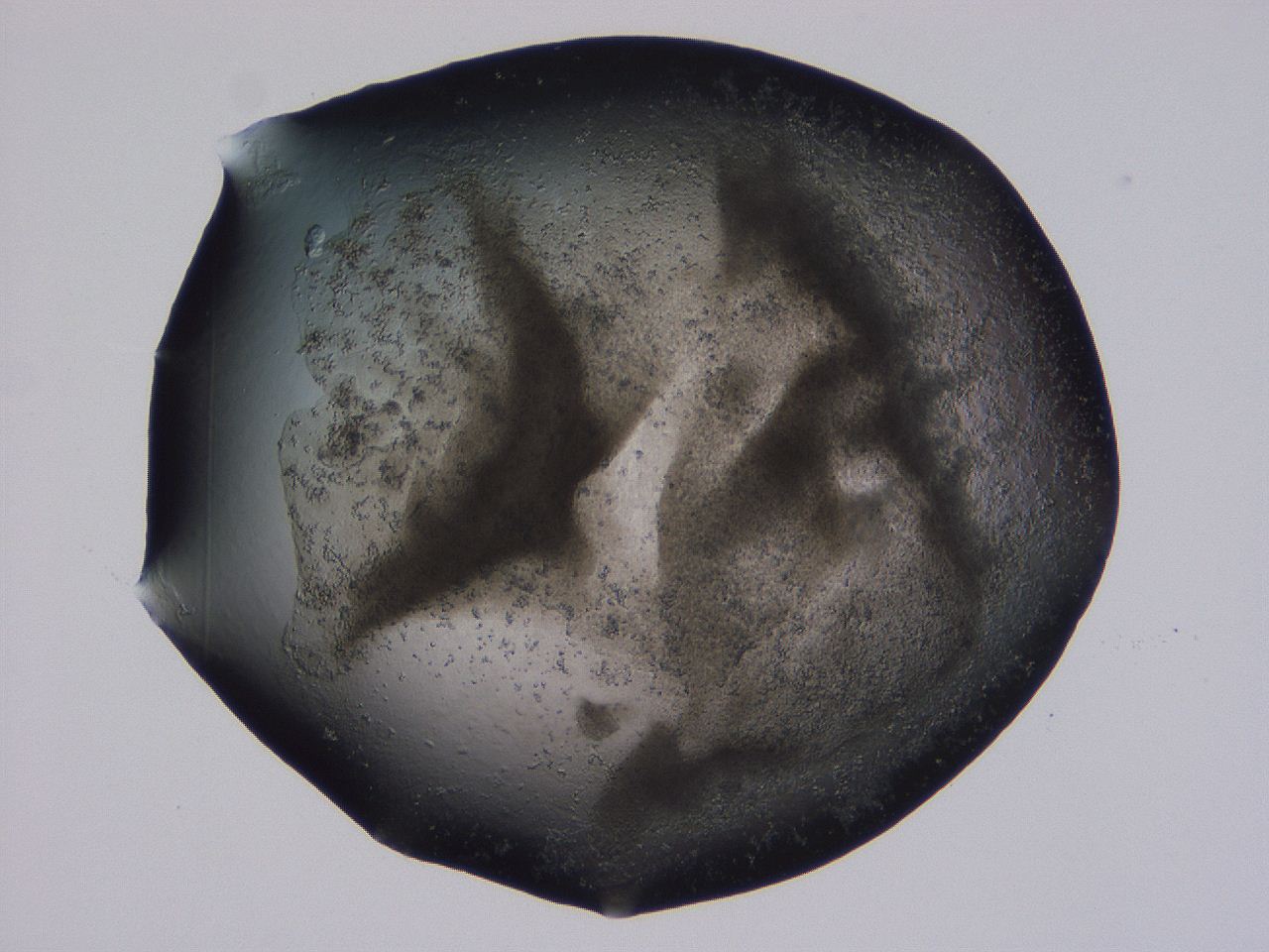 04ox_F8_ImagerDefaults_3.jpg