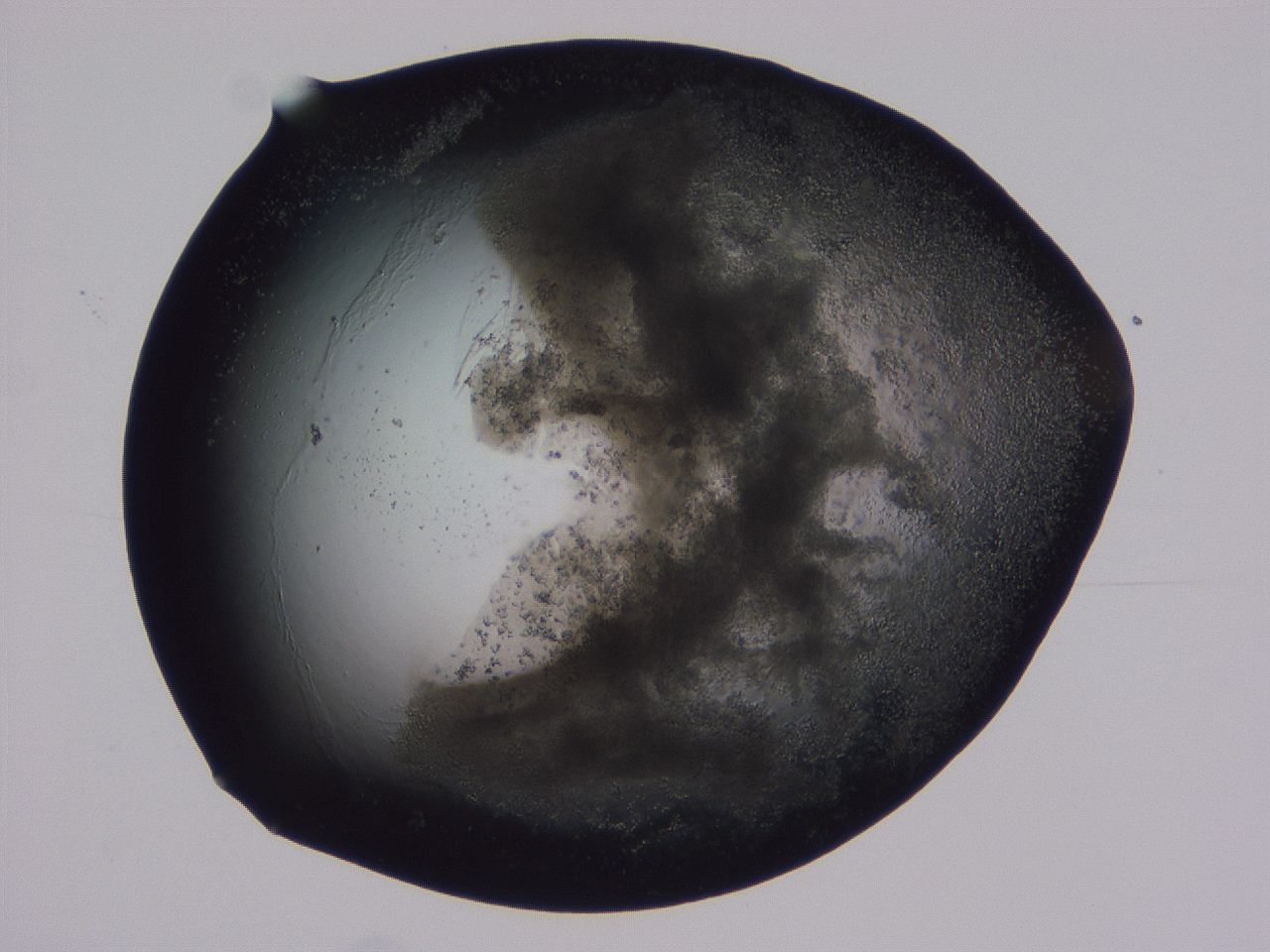 04ox_F9_ImagerDefaults_3.jpg