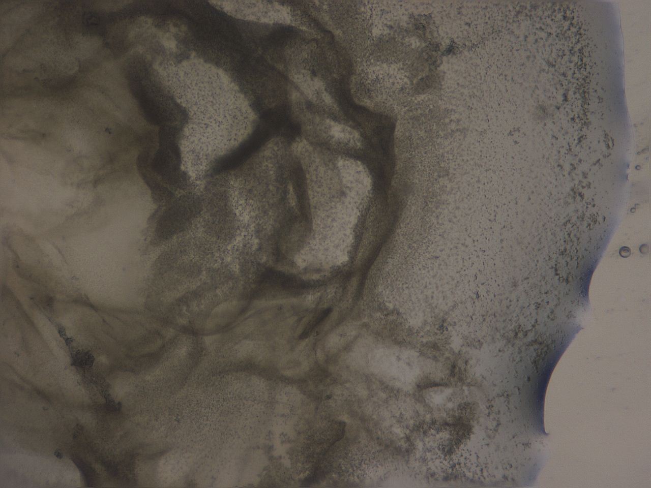 04ox_G2_ImagerDefaults_3.jpg