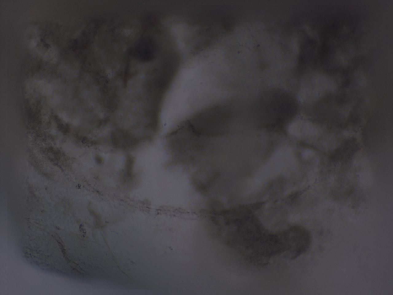 04ox_G3_ImagerDefaults_3.jpg