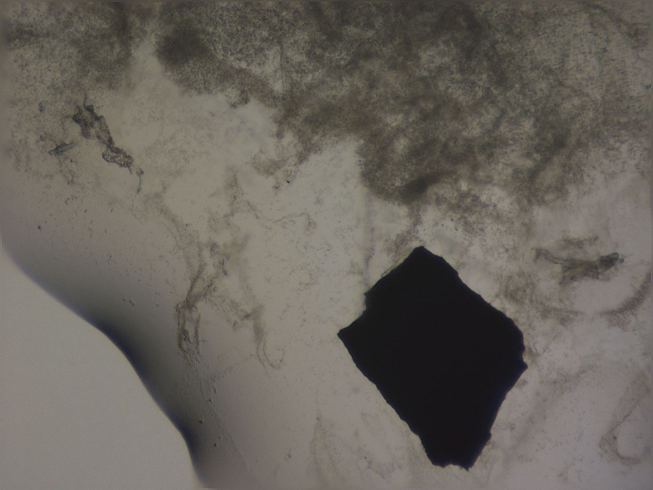 04ox_G6_ImagerDefaults_3.jpg