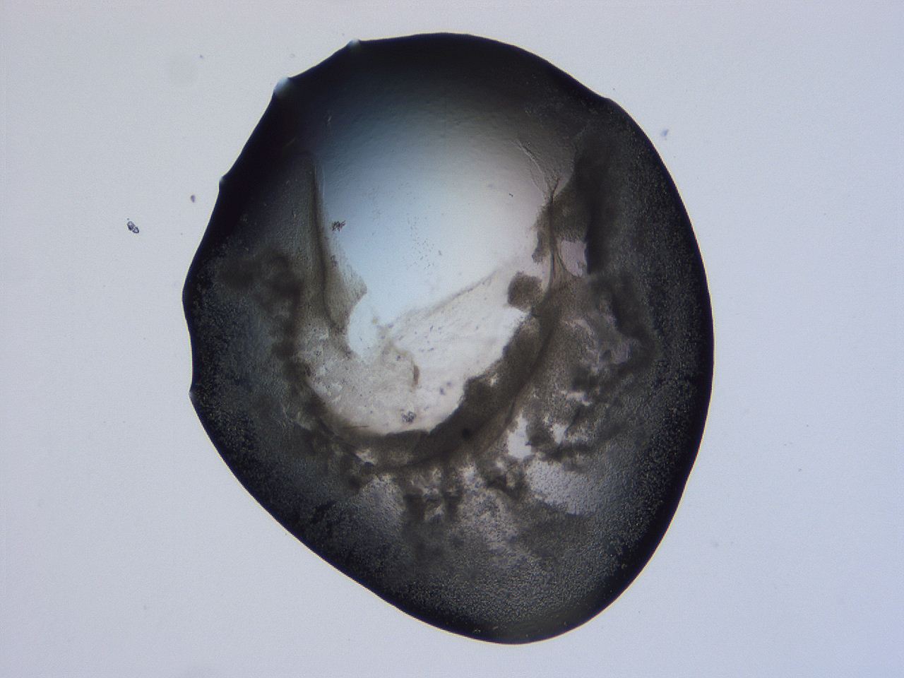 04ox_G9_ImagerDefaults_3.jpg