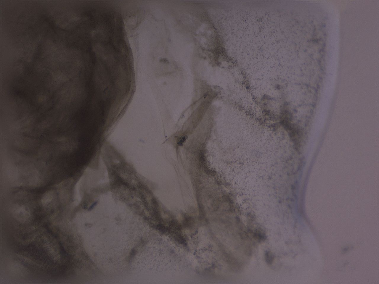04ox_H2_ImagerDefaults_3.jpg