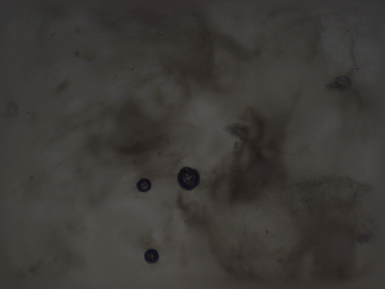 04ox_H7_ImagerDefaults_3.jpg