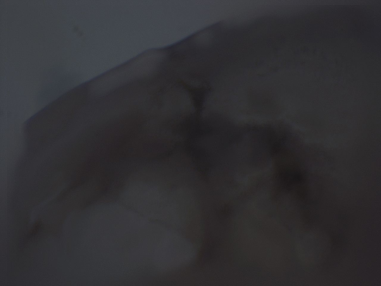 04ox_H11_ImagerDefaults_3.jpg
