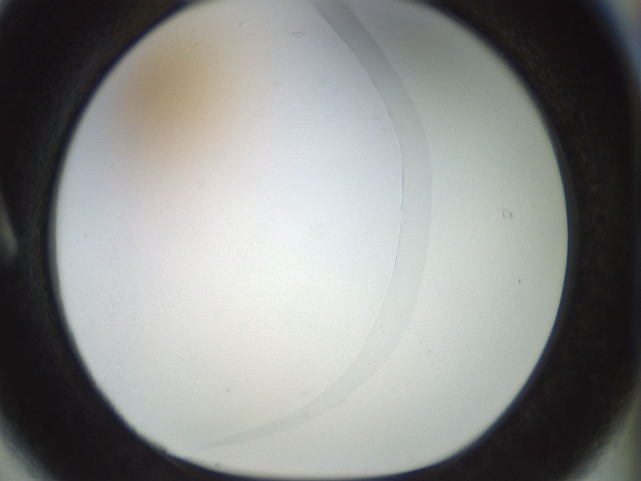 folderID991_plateID991_batchID1628_wellNum6_profileID1_d1_r40516_ef.jpg