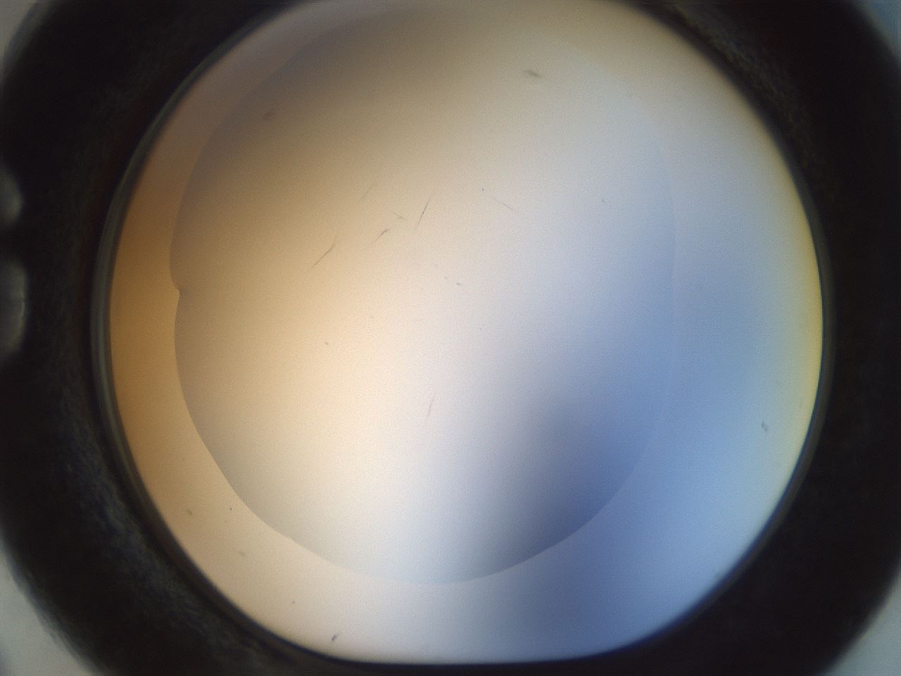 folderID991_plateID991_batchID1628_wellNum74_profileID1_d1_r40652_ef.jpg