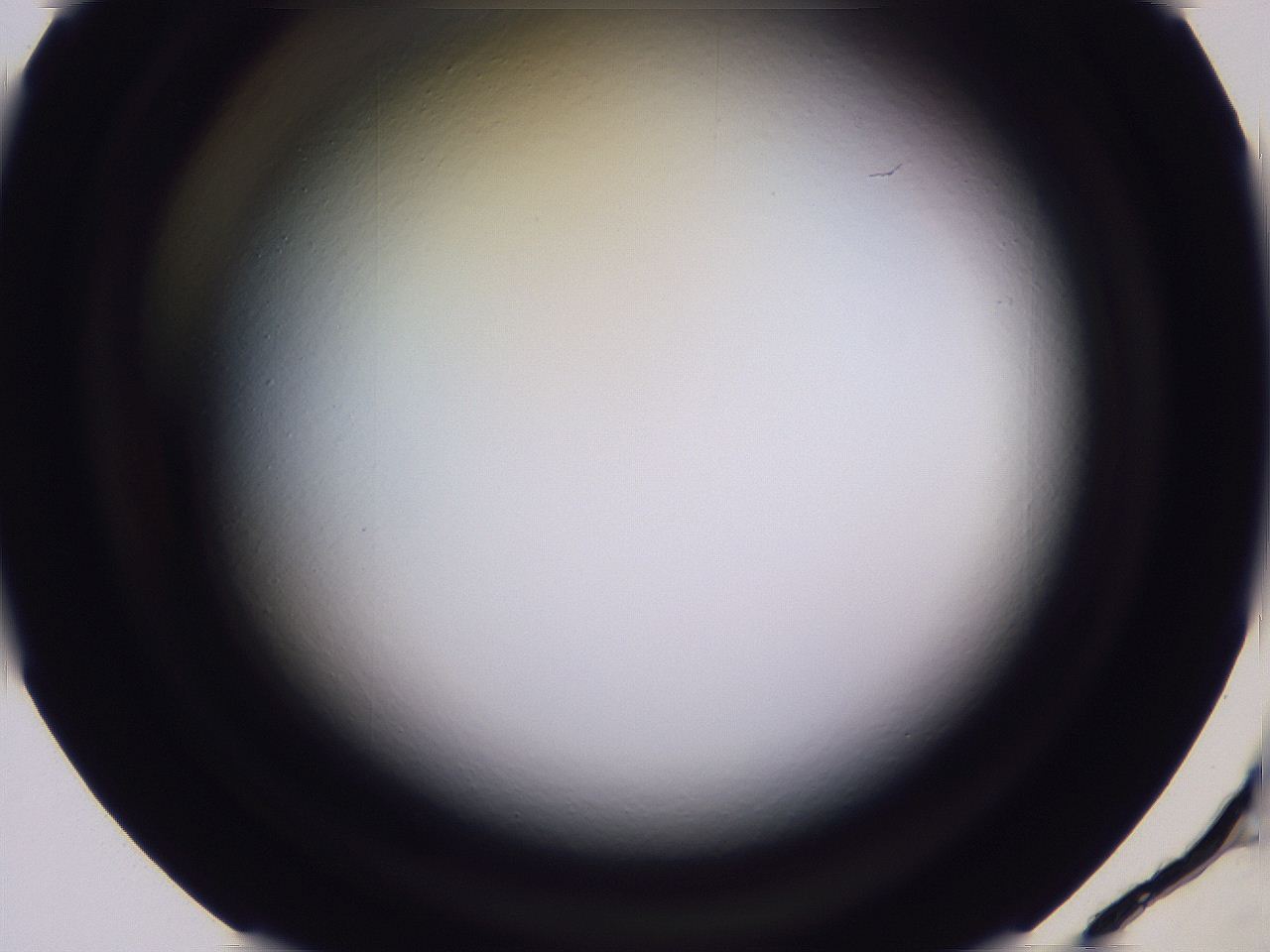 04oy_D7_ImagerDefaults_0.jpg