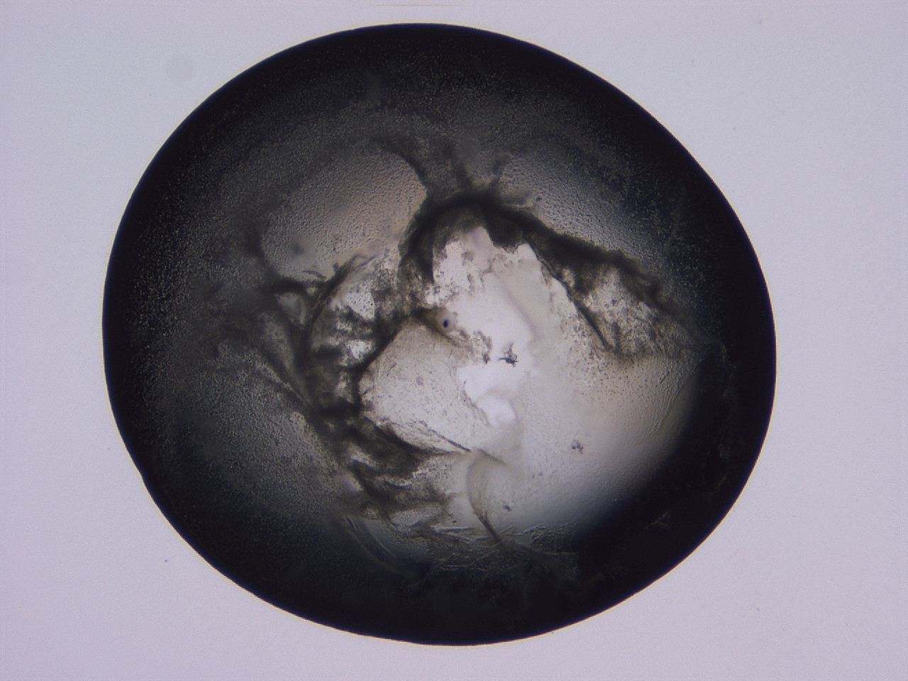 04oy_D10_ImagerDefaults_3.jpg