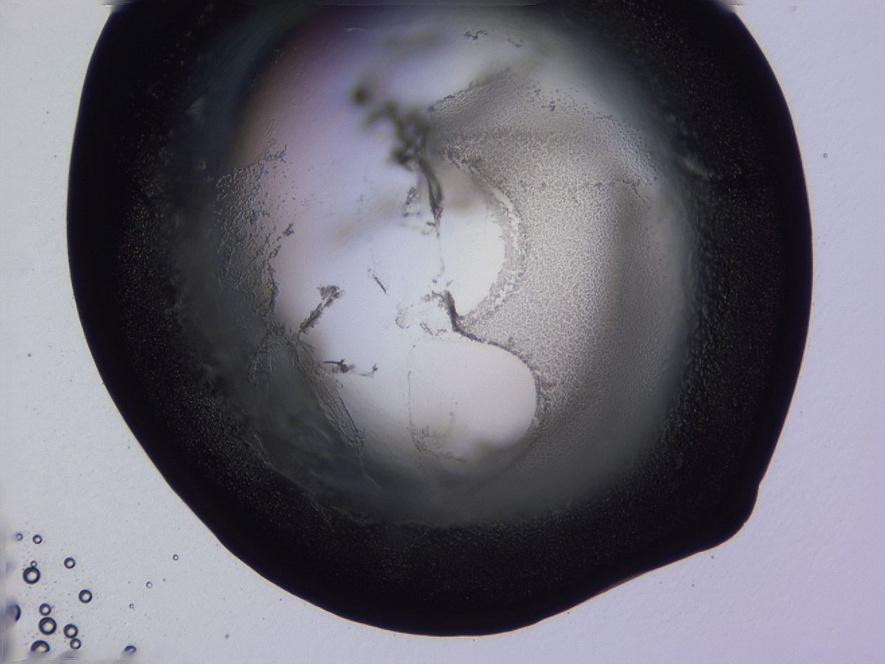 04oy_D12_ImagerDefaults_3.jpg