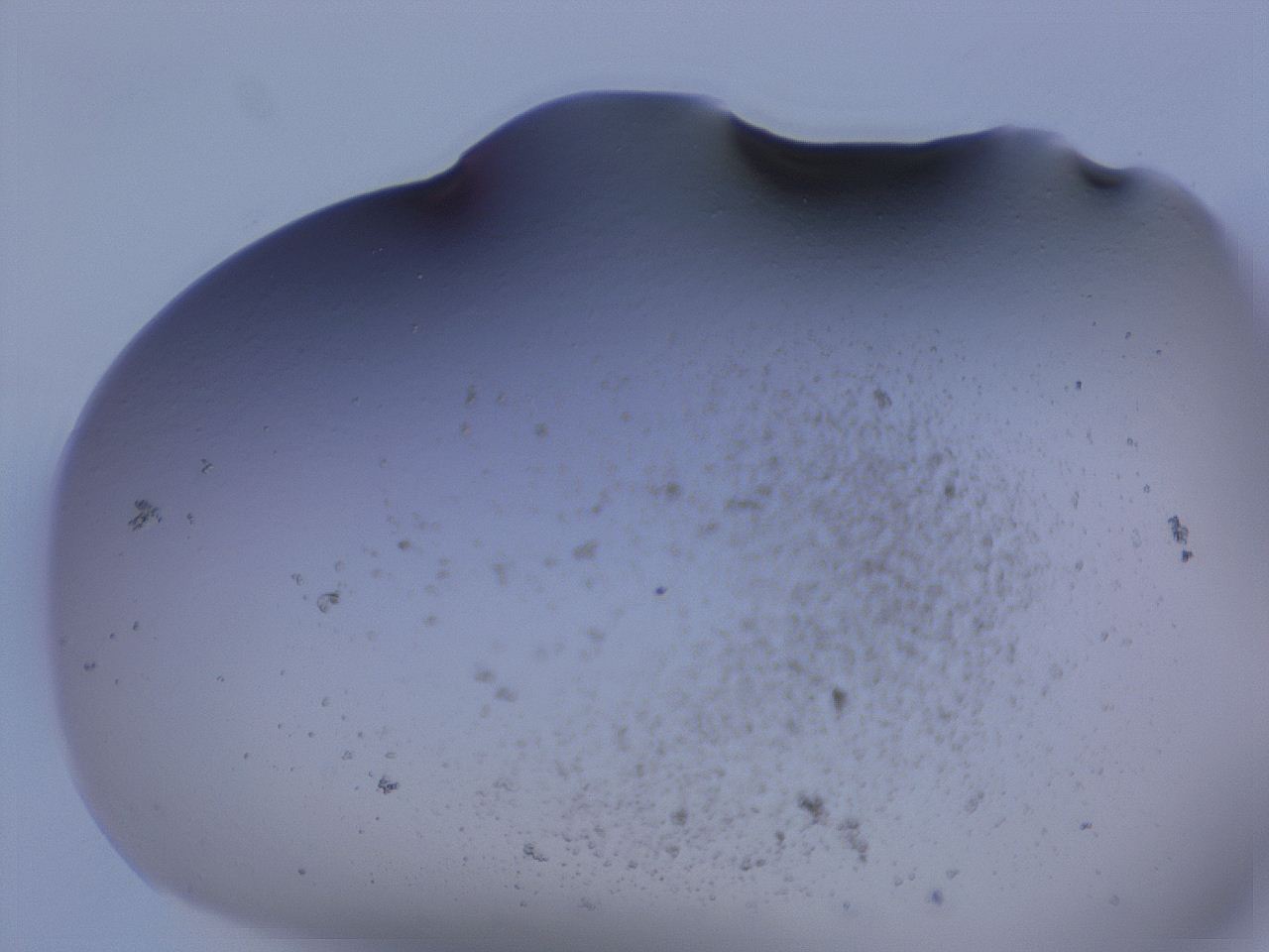 04oy_E2_ImagerDefaults_3.jpg