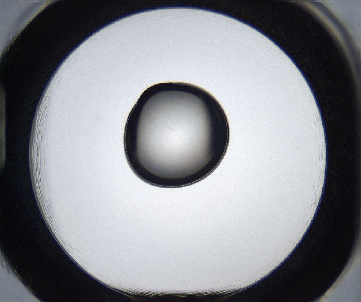 folderID993_plateID2993_batchID16325_wellNum85_profileID1_d1_r248037_ef.jpg