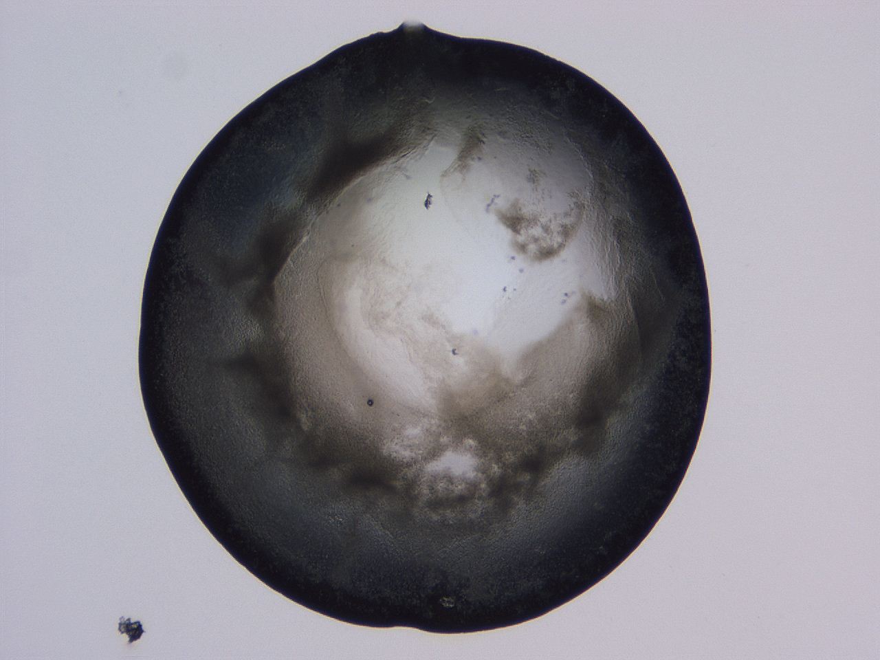 04oy_B12_ImagerDefaults_3.jpg