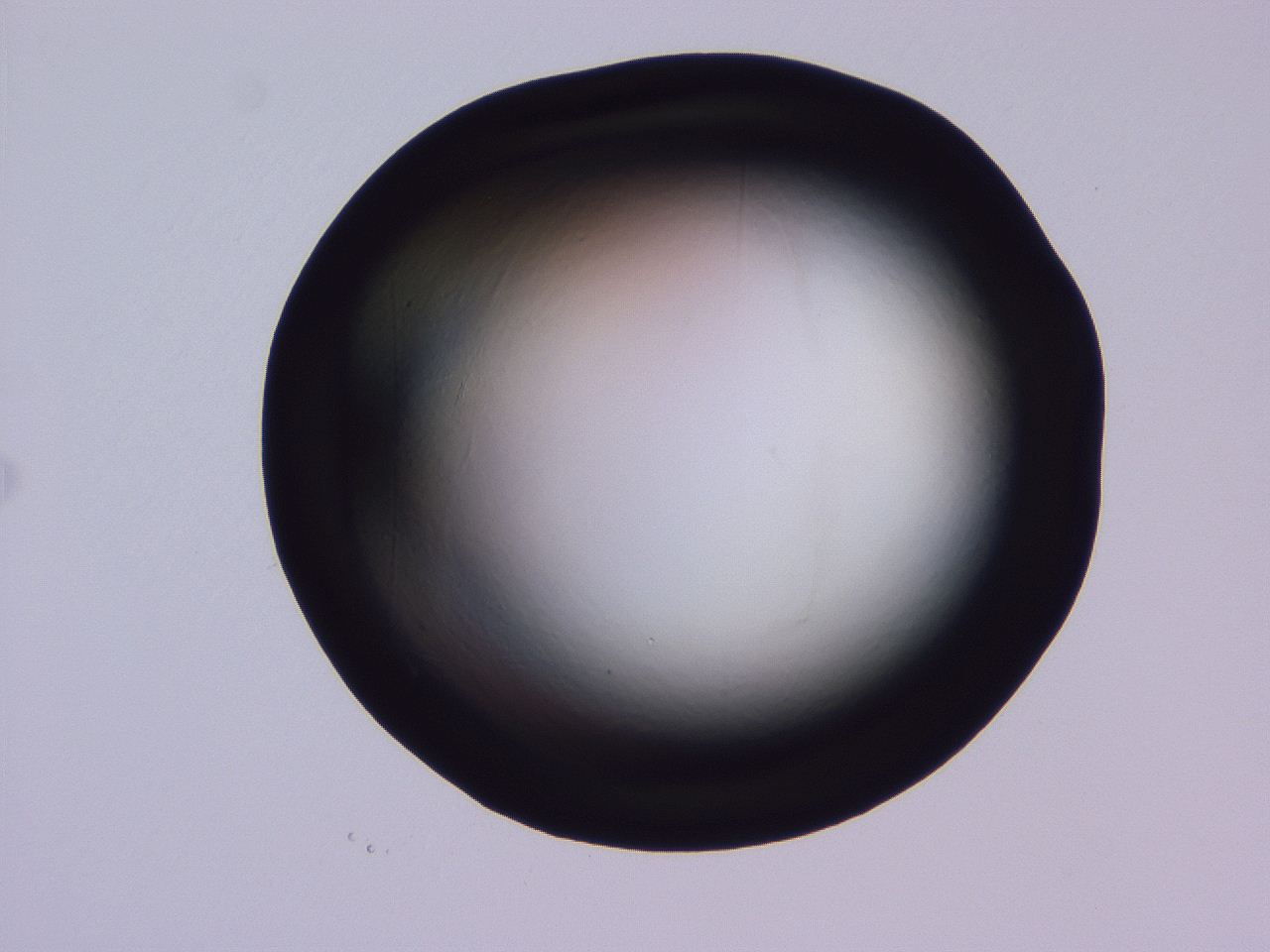 04oy_C4_ImagerDefaults_0.jpg