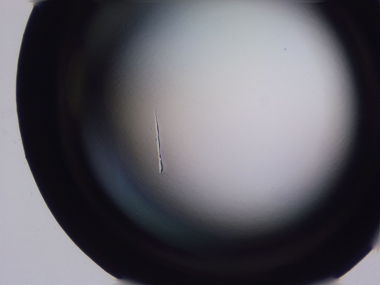 04oy_C7_ImagerDefaults_0.jpg