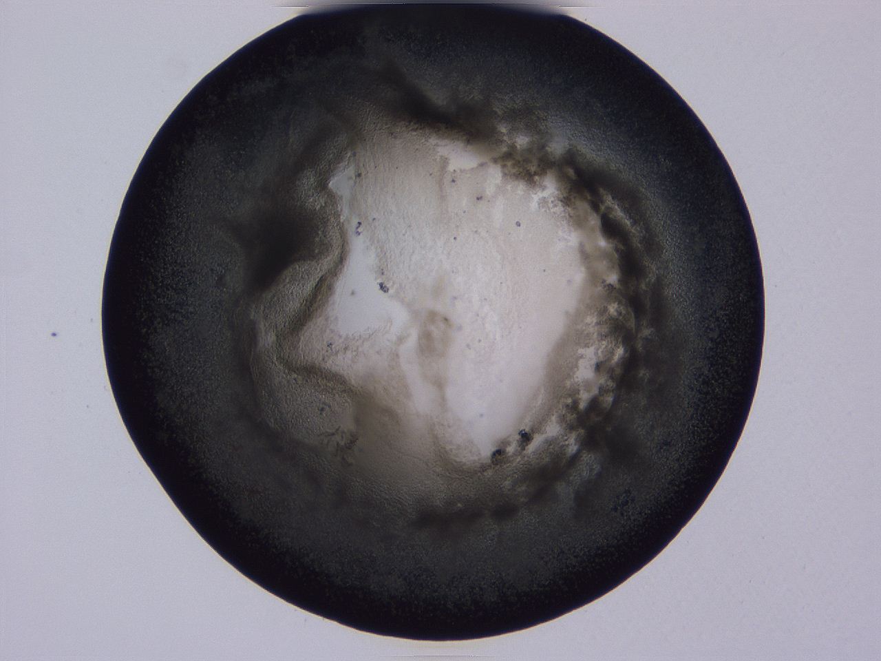 04oy_C11_ImagerDefaults_3.jpg