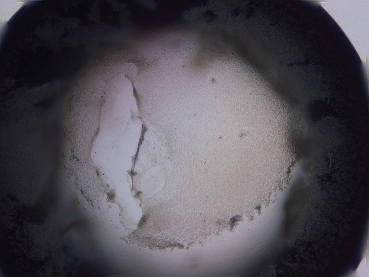 04oy_C12_ImagerDefaults_3.jpg