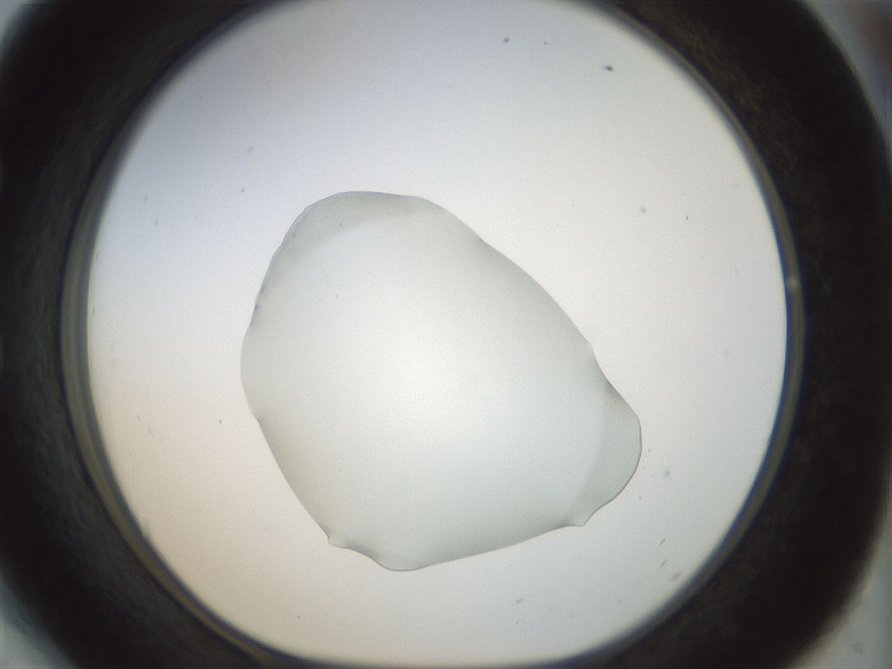 folderID995_plateID995_batchID1669_wellNum54_profileID1_d1_r40804_ef.jpg
