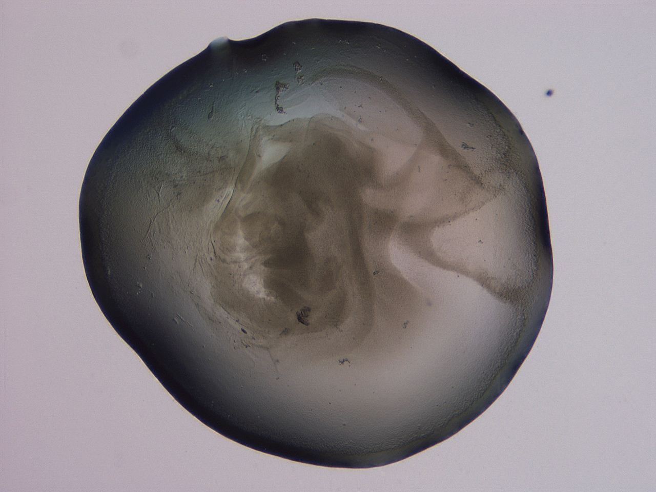 04oy_F11_ImagerDefaults_3.jpg
