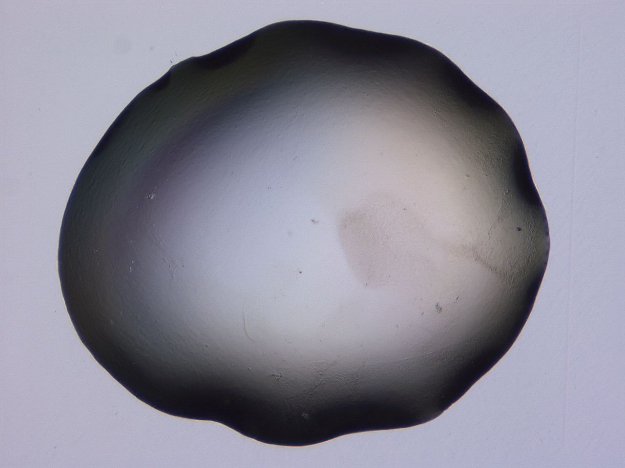 04oy_F12_ImagerDefaults_0.jpg