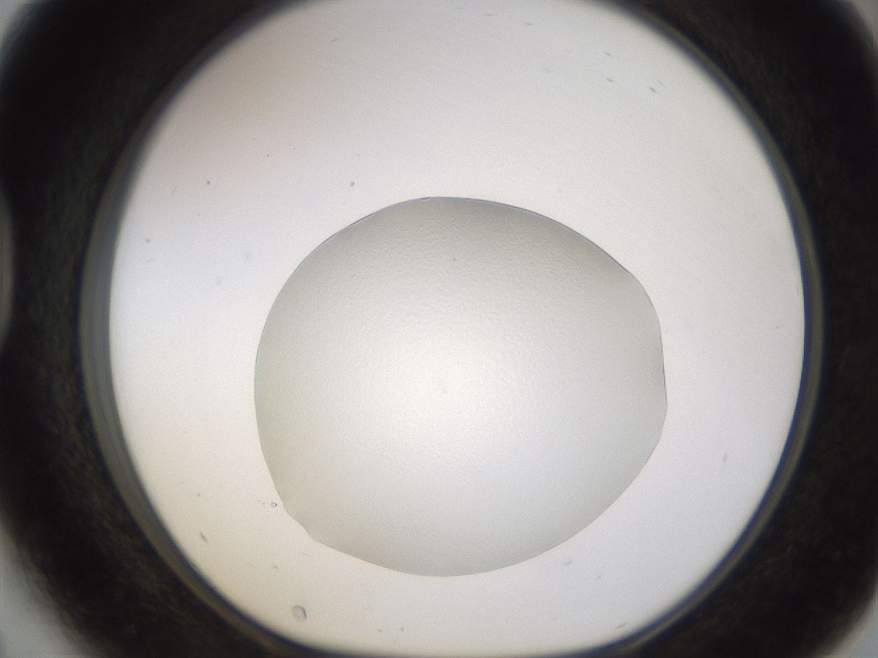 folderID997_plateID2997_batchID16410_wellNum41_profileID1_d1_r250641_ef.jpg