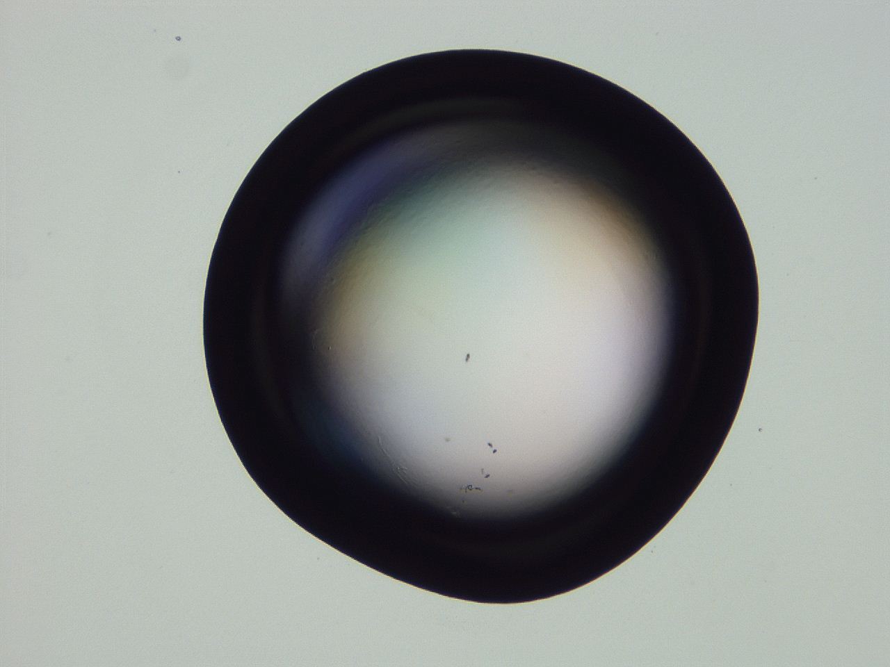04oy_G10_ImagerDefaults_0.jpg