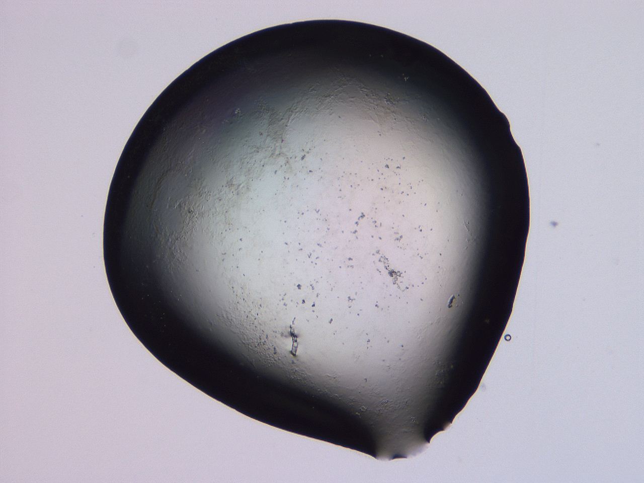 04oy_G12_ImagerDefaults_0.jpg
