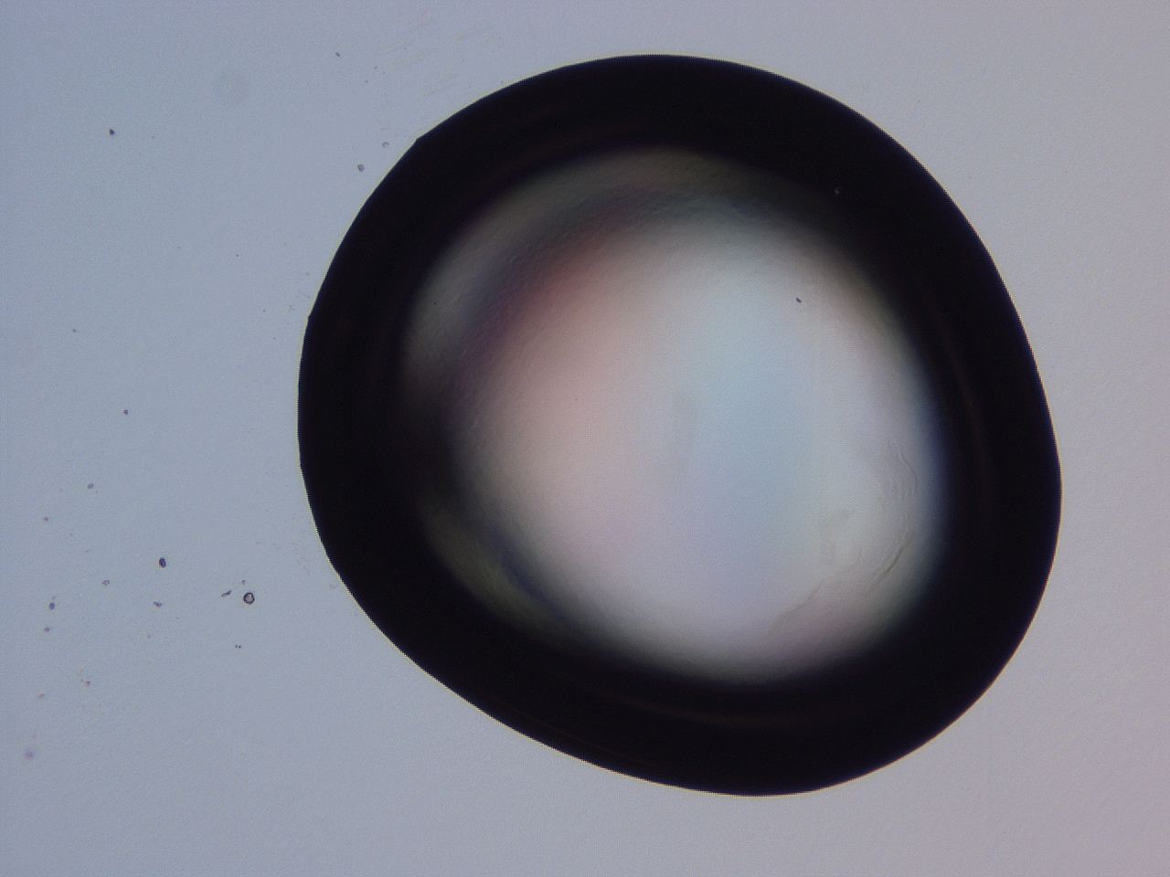 04oy_H11_ImagerDefaults_0.jpg