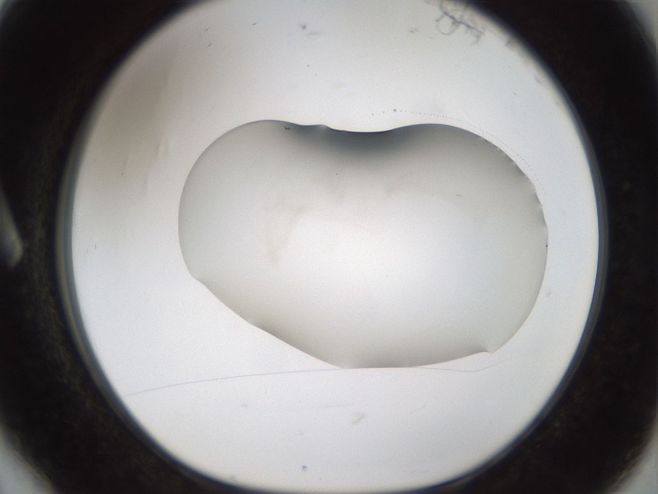 folderID999_plateID1999_batchID8660_wellNum6_profileID1_d1_r134787_ef.jpg